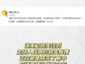 娱乐718吃瓜网网址,揭秘娱乐圈最新热点，带你畅游八卦世界